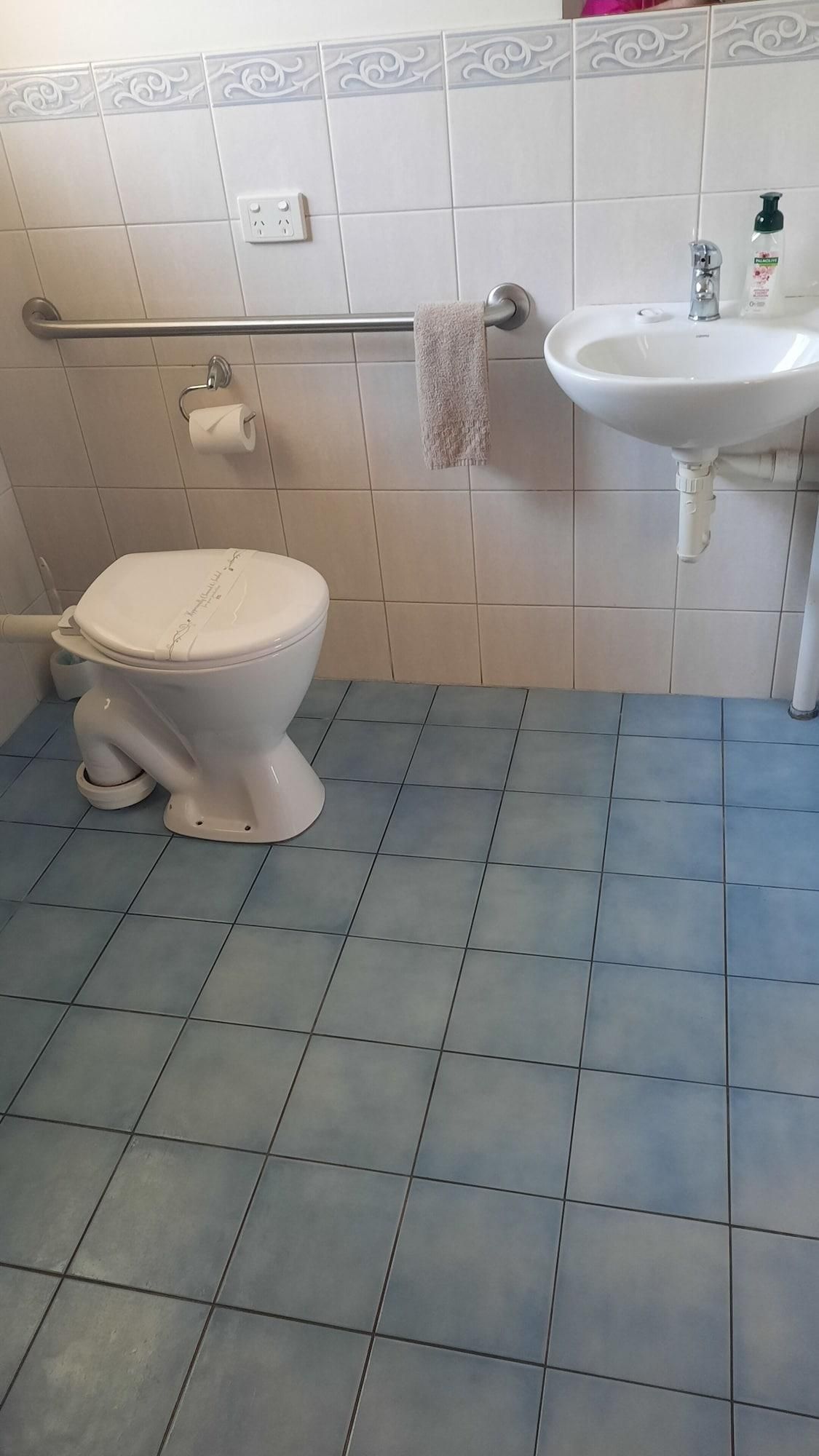 A bathroom with a toilet, a sink, and a handrail.
