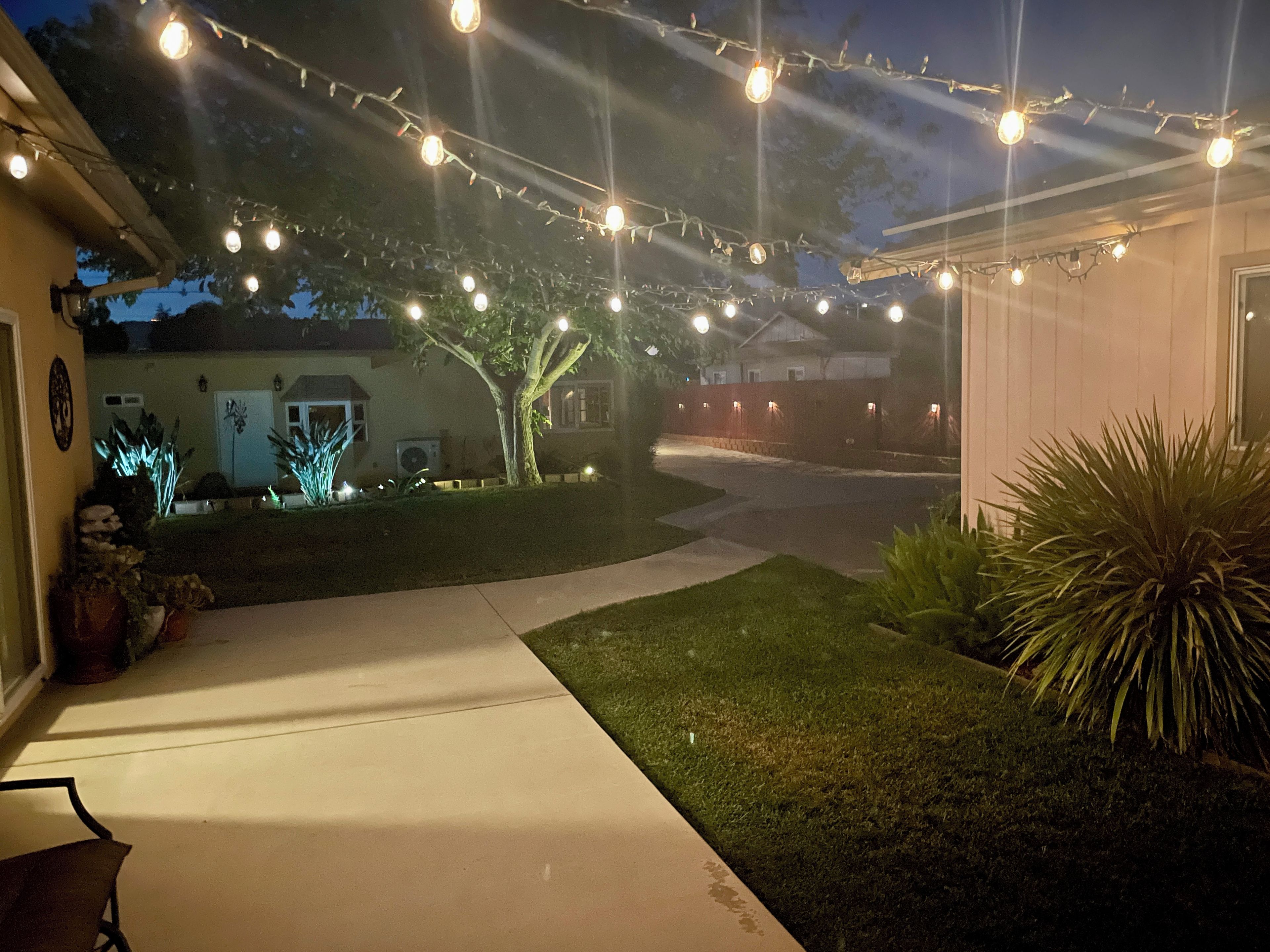 Uma entrada residencial com gramado, árvore e luzes de Natal.