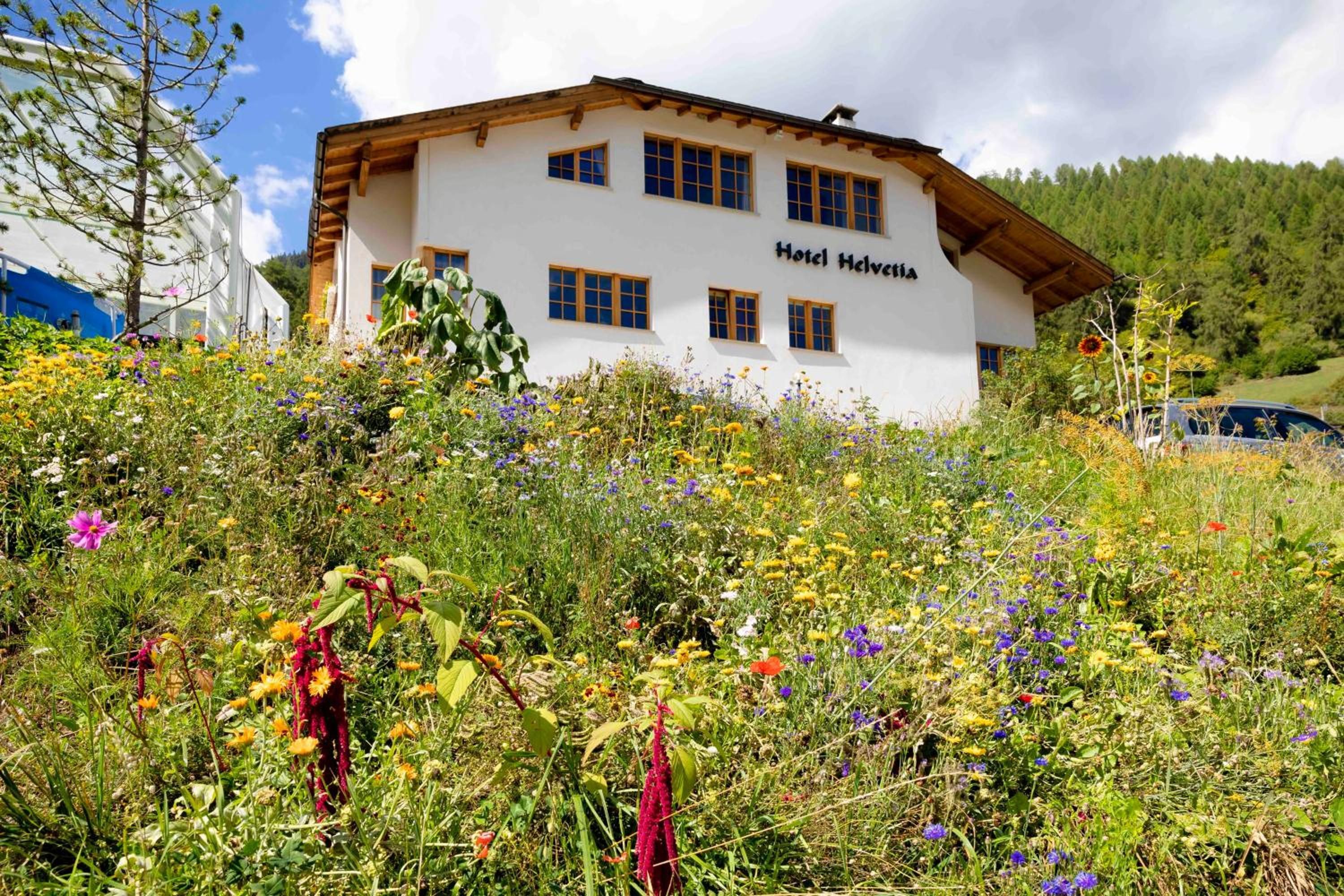 Un edificio blanco con el cartel 'Hotel Helvetia' en la fachada, rodeado de diversas flores silvestres y follaje.