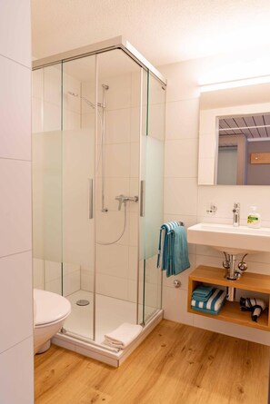 A modern bathroom with a glass-enclosed shower, a white toilet, and a wooden vanity with a mirror. - Gasthaus Engel Hasle (Hasle)