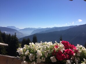 View from property - Simal Alm (Saalbach-Hinterglemm)