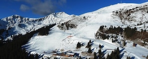 View from property - Simal Alm (Saalbach-Hinterglemm)