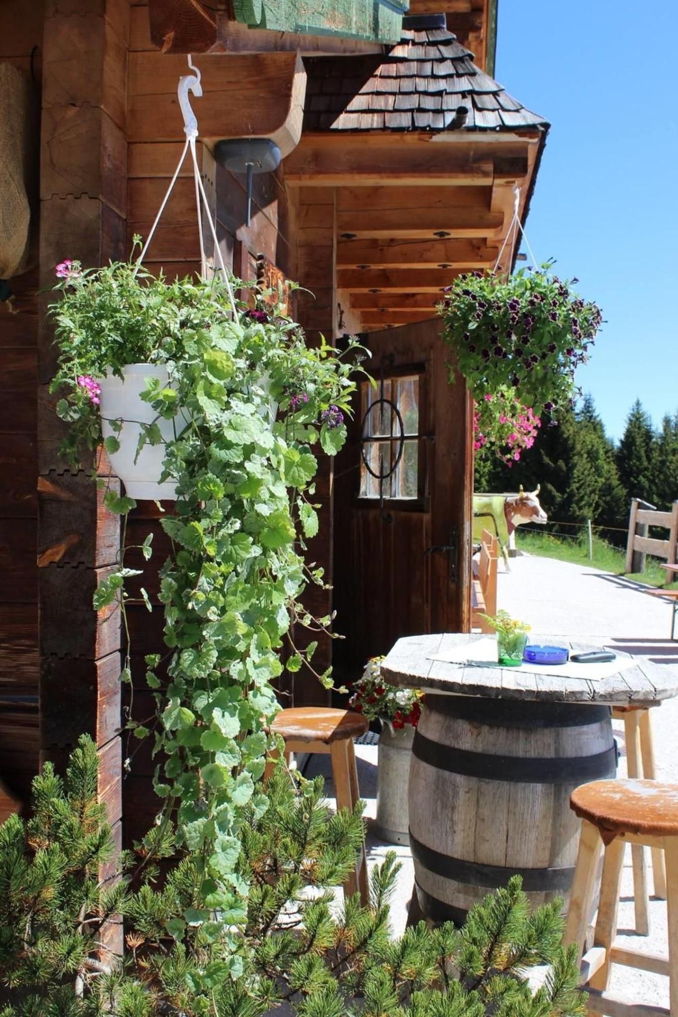 A wooden cabin with a porch, a hanging planter with green foliage, a round table with a chair, and a decorative cow statue.