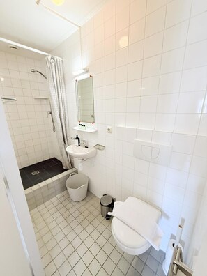 Un baño con inodoro, lavabo y zona de ducha.