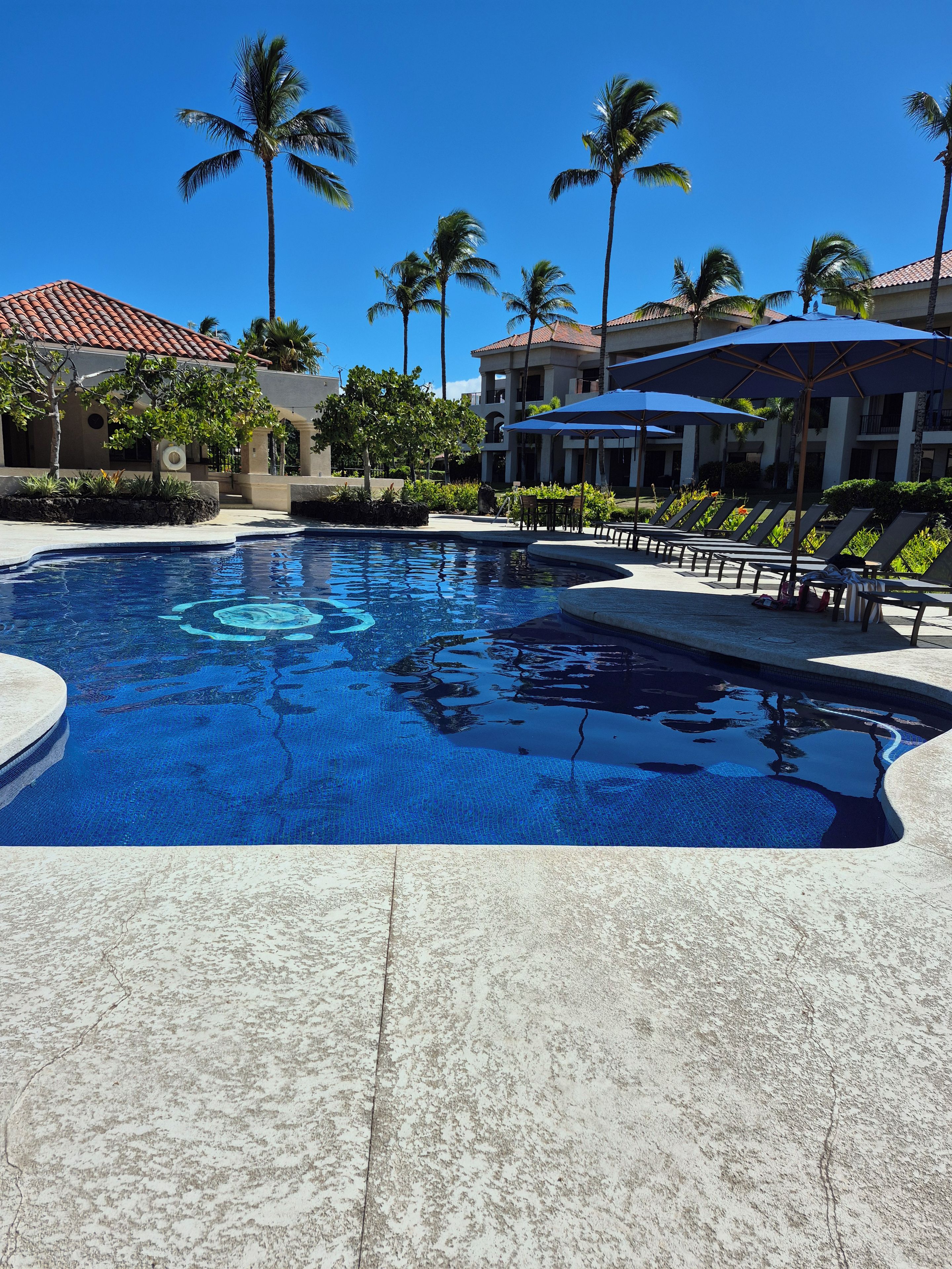 A swimming pool with lounge chairs and umbrellas, surrounded by palm trees and buildings with red-tiled roofs.