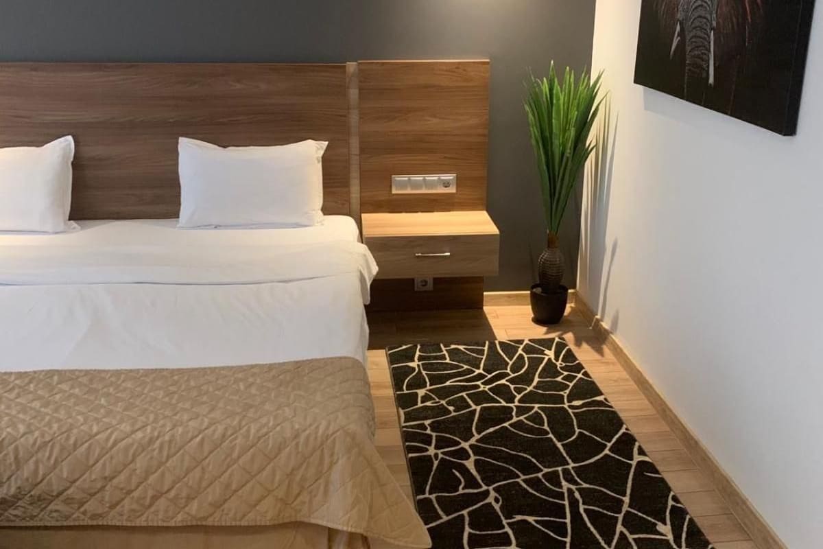 A hotel room with a bed, bedside table, nightstand, and a potted plant.