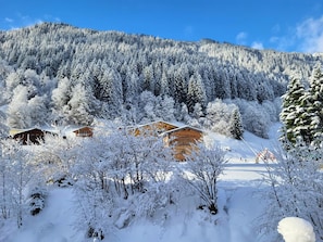 View from property - Pension Rudolph (Gaschurn)