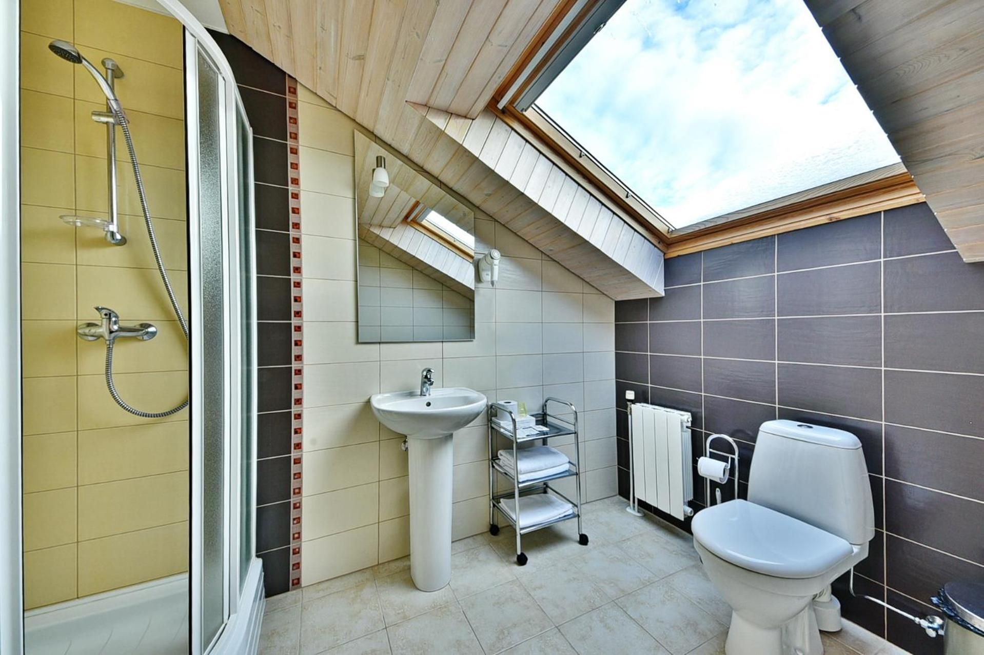 A bathroom with a skylight, a shower, a sink, a toilet, and a radiator.