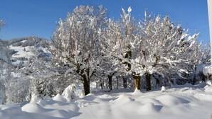 View from property - Hotel Restaurant Belvedere (Schwende)