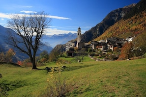 Vista dalla struttura