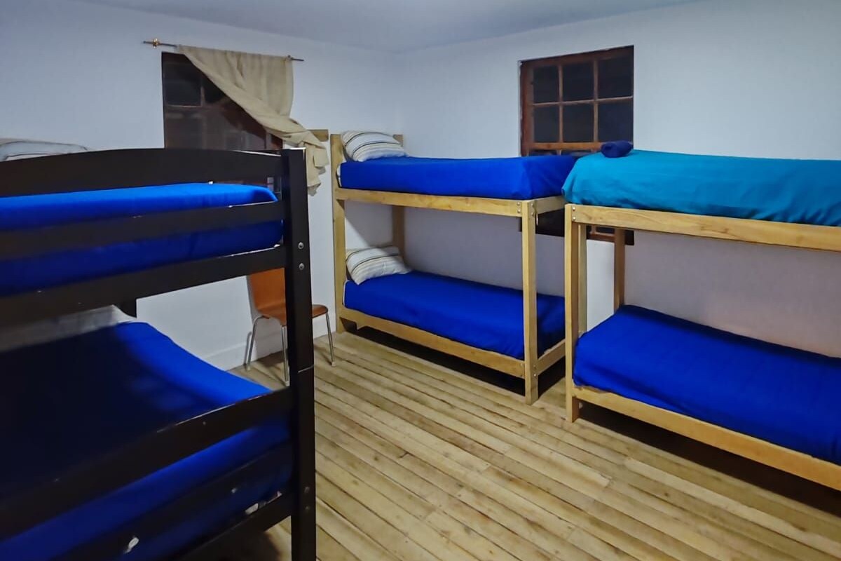 Ein Schlafsaalzimmer mit Etagenbetten, einem Fenster und einer Deckenleuchte.