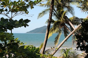 A beach with palm trees and a view of the sea.