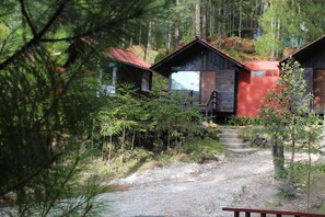 A cabin with a red roof, surrounded by dense forest, and a gravel path leading to the entrance.