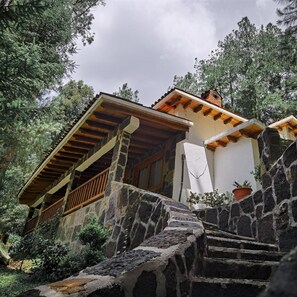 Una escalera de piedra conduce a un edificio con techo de madera y pared blanca, con una planta en maceta a la derecha.