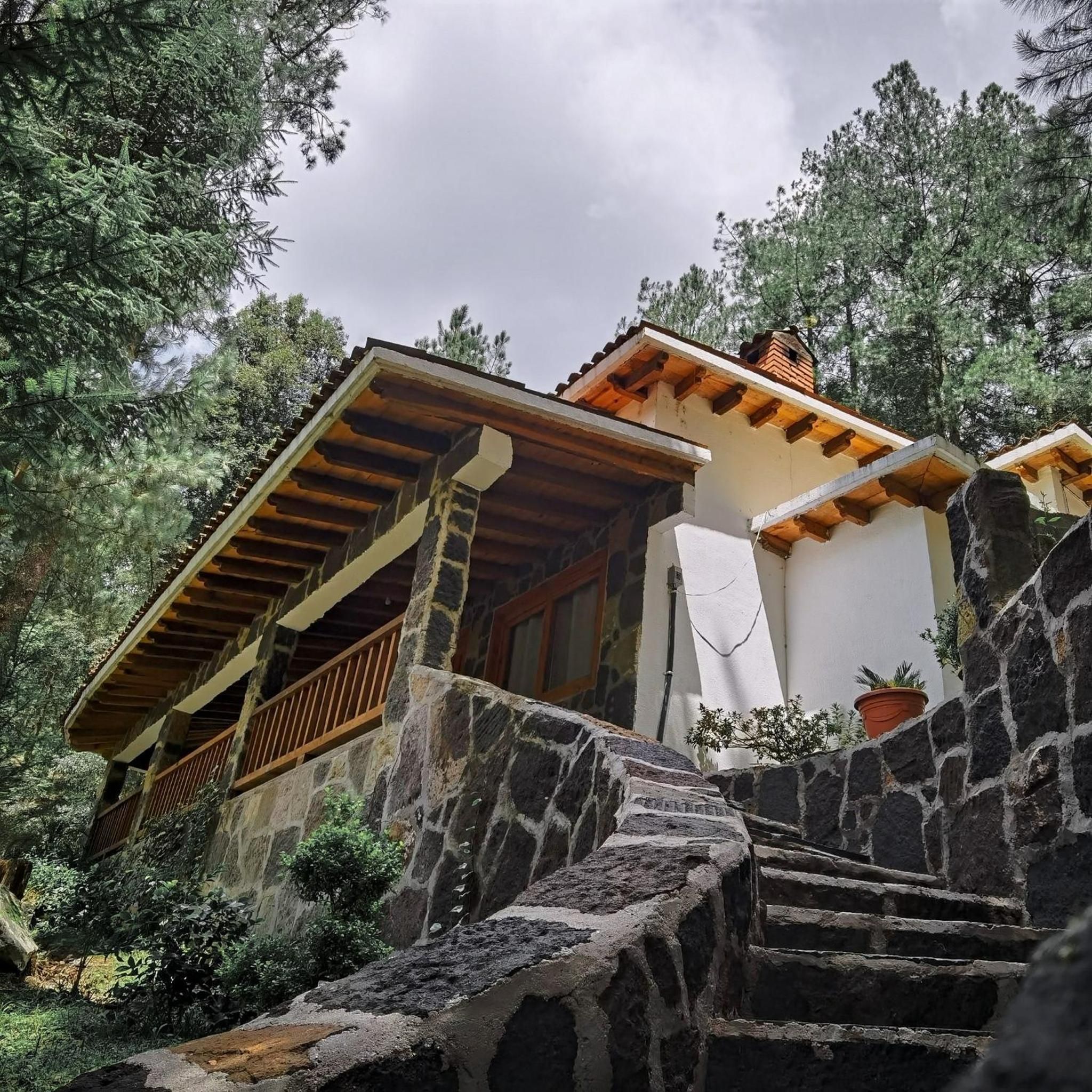 Una escalera de piedra conduce a un edificio con techo de madera y pared blanca, con una planta en maceta a la derecha.