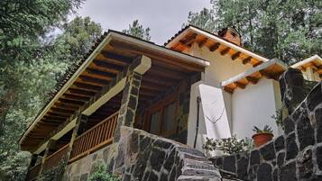 Una escalera de piedra conduce a un edificio con techo de madera y pared blanca, con una planta en maceta a la derecha.
