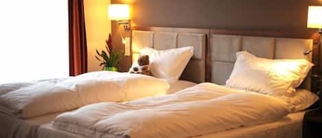 Una habitación de hotel con una cama doble, dos lámparas de noche, una mesita auxiliar y una planta decorativa.
