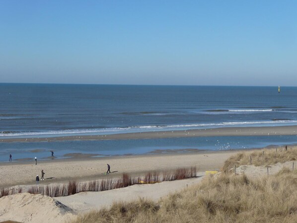 A beach with a clear sky, a lighthouse in the distance, and people walking along the shore. - Strandhotel Noordzee (De Koog)