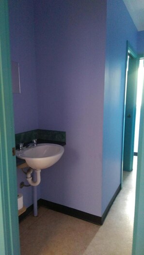 A bathroom with a sink, a toilet, and a shower area. - Anglesea Backpackers (Anglesea)