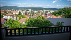 Vista desde la propiedad