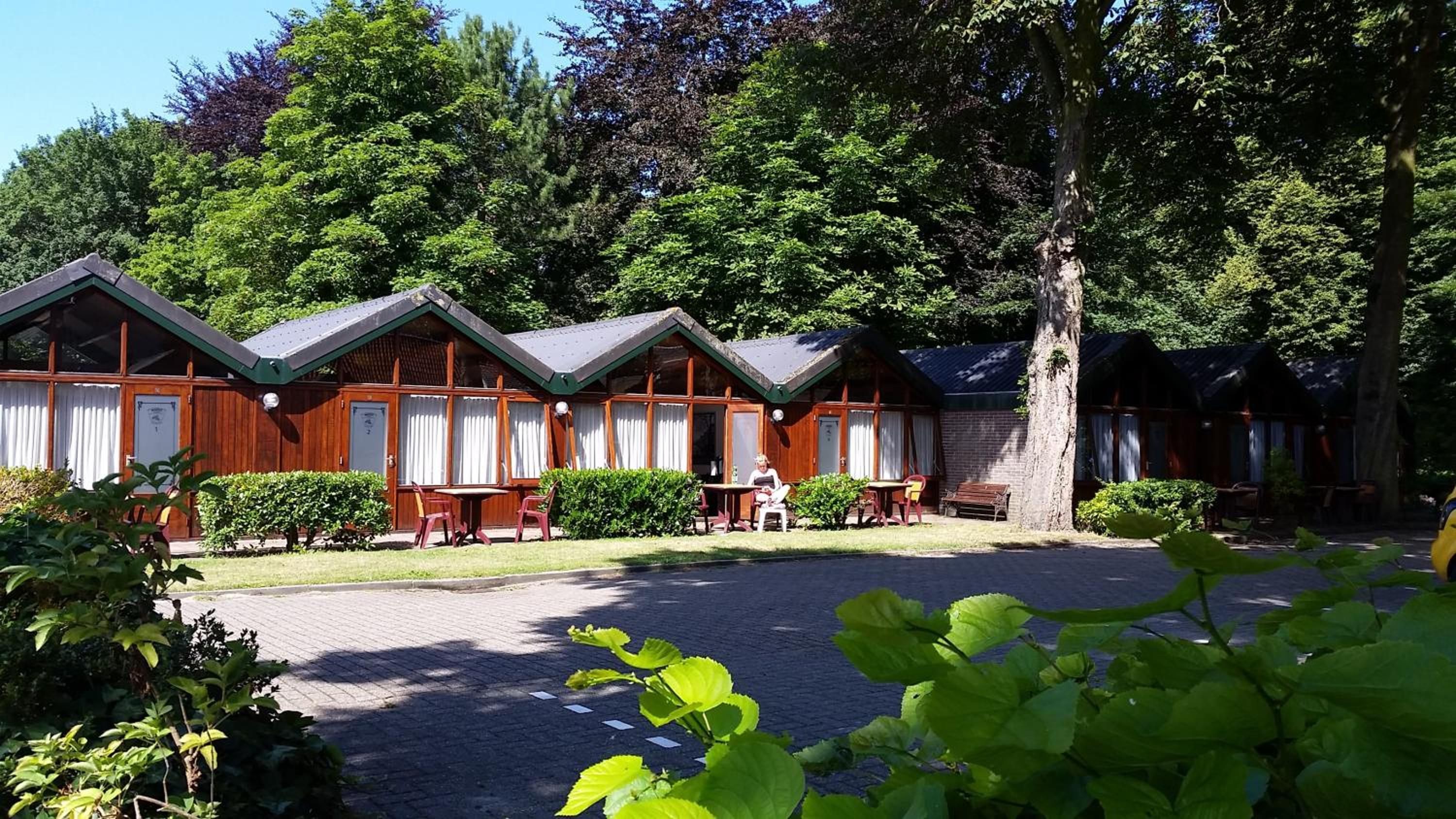 Een rij houten vakantiehuisjes met een verharde oprit en veel groen eromheen.