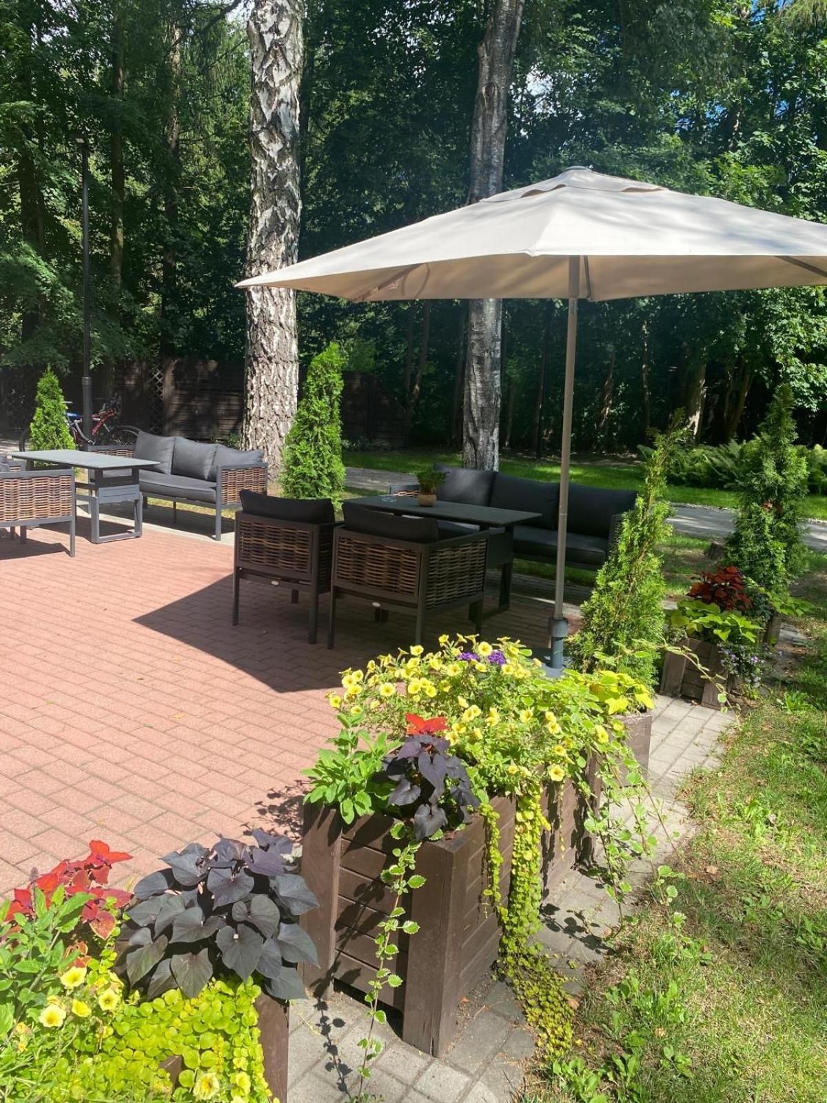 An outdoor patio area with a table and chairs, surrounded by potted plants and a large umbrella.