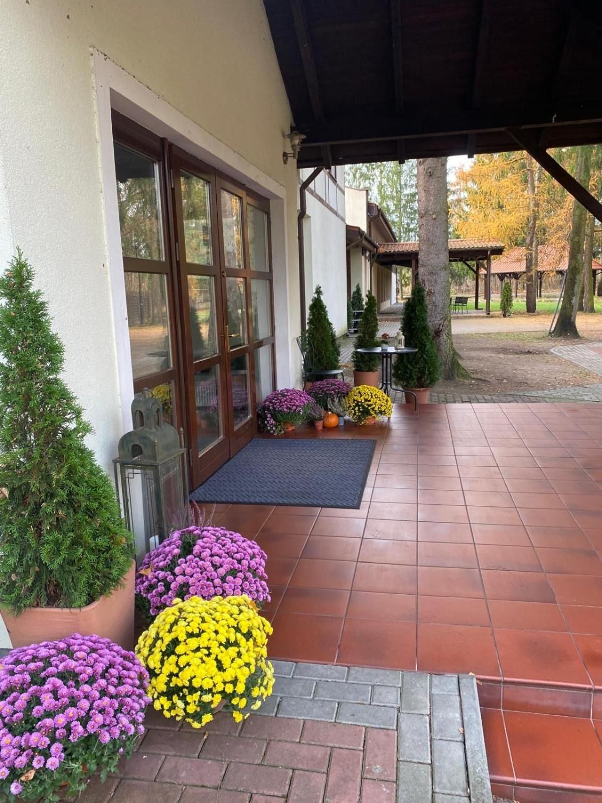 Un espacio al aire libre techado con piso de baldosas, plantas en macetas y una pérgola de madera.