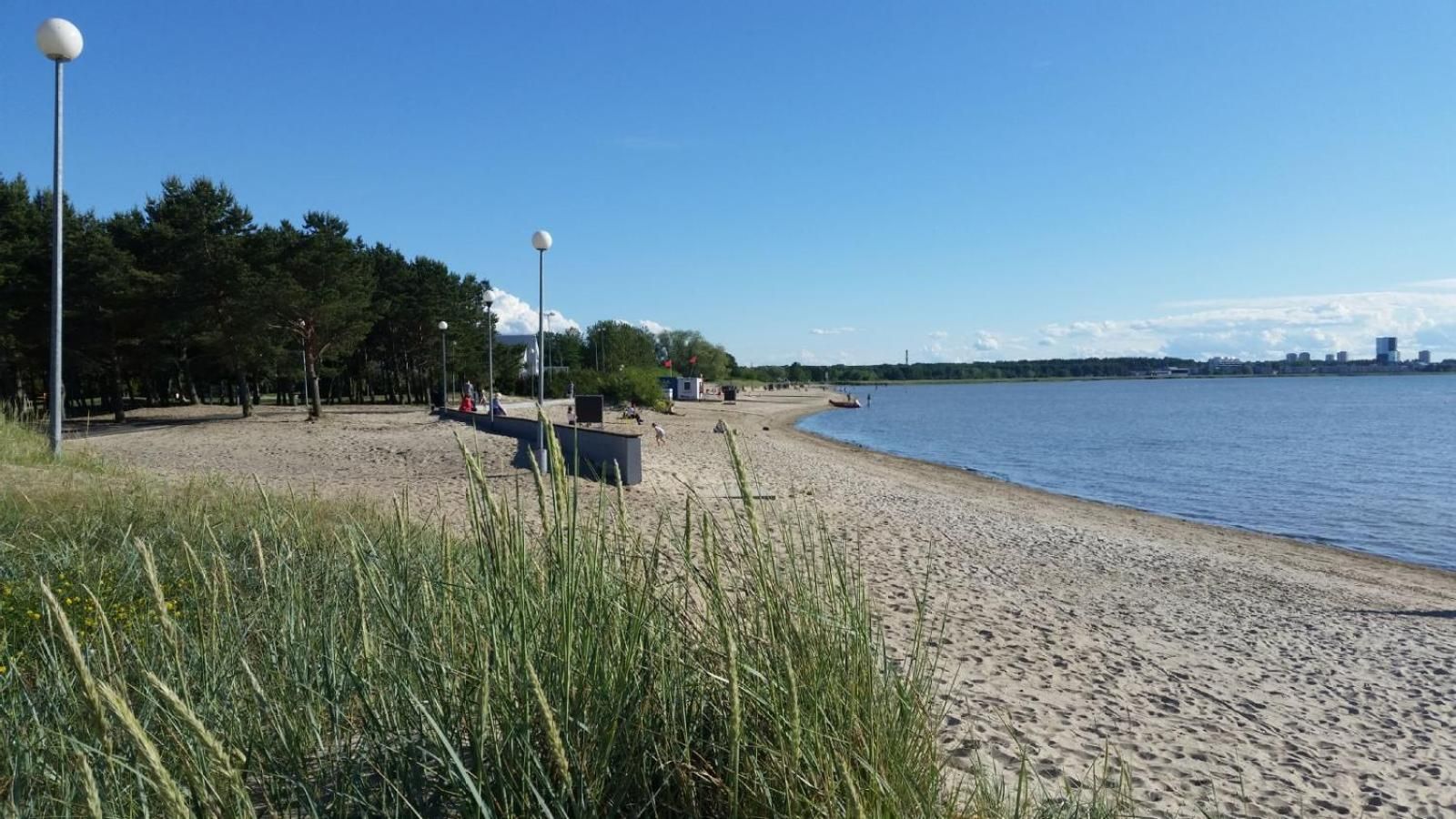 A beach with a clear sky, a sandy shore, and a city skyline in the distance.