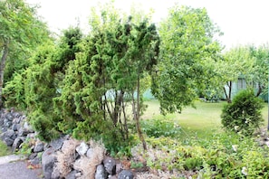 Un jardín con diversos árboles y arbustos, un muro de piedra y césped.