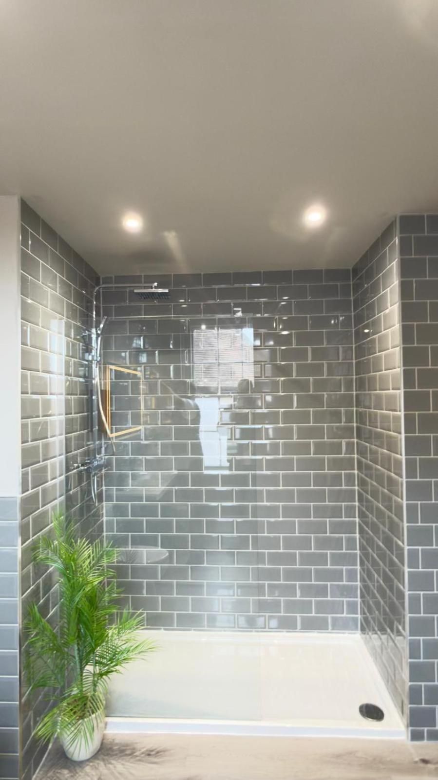 Un área de ducha con paredes de azulejos y una planta en maceta.