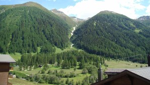A mountainous landscape with dense forests and a valley. - Hotel Weisshorn (Goms)
