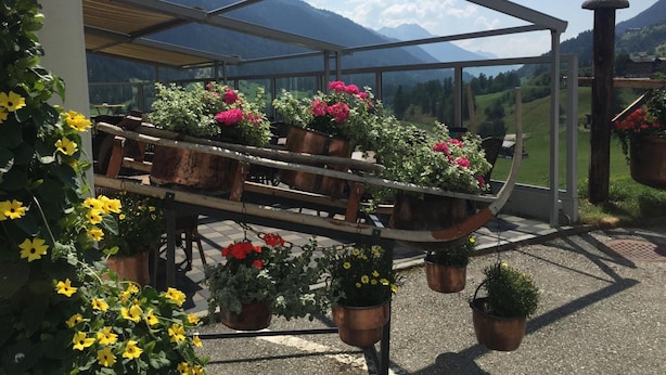 A greenhouse with potted plants and a view of mountains. - Hotel Weisshorn (Goms)