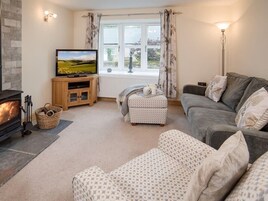Una sala de estar acogedora con chimenea, televisor, sofá y una ventana con cortinas.
