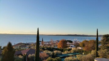 Vista desde la propiedad