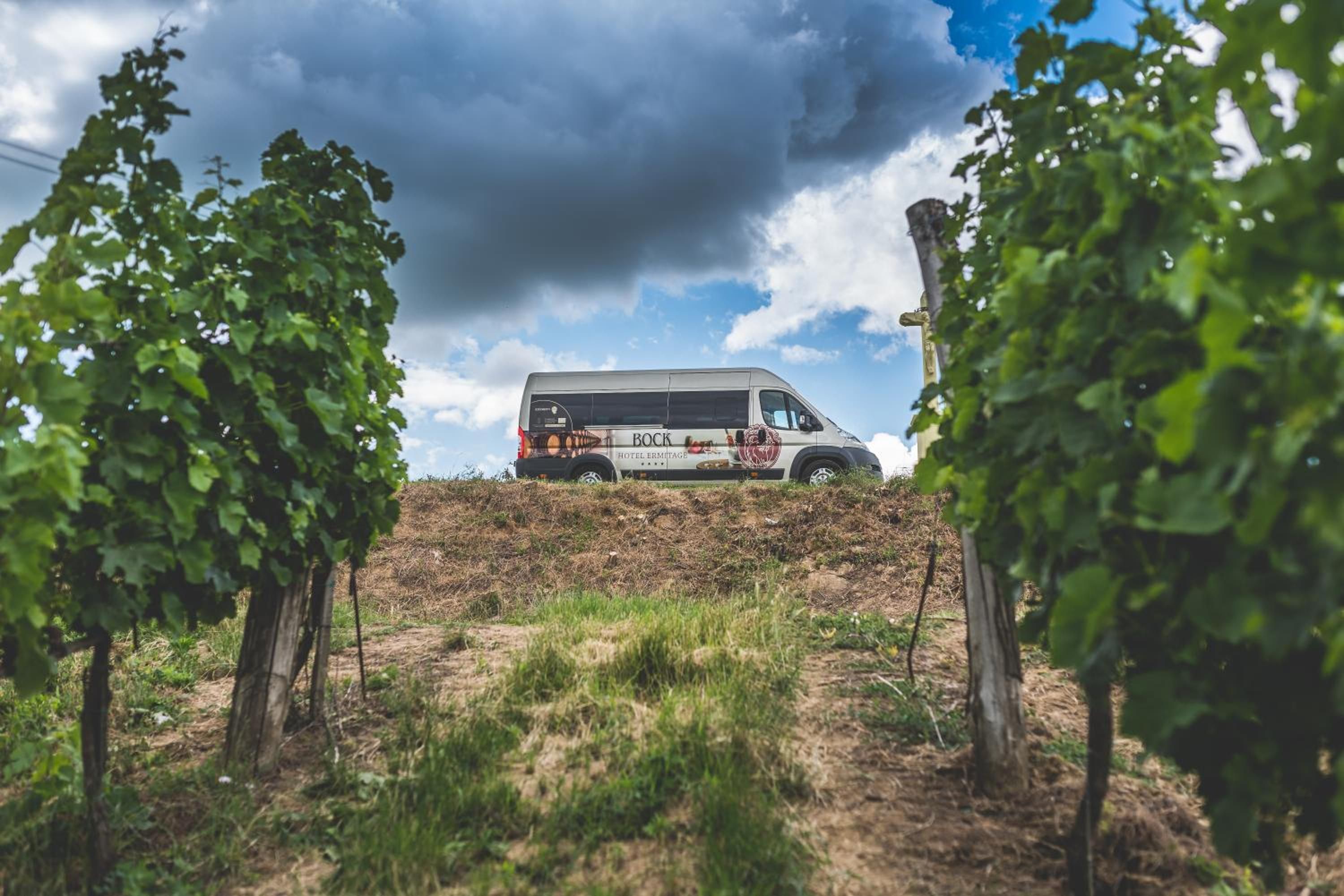 A van parked on a hillside with a vineyard in the foreground.
