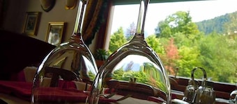 Hotel Zoldana
