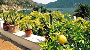 Lobby - Albergo Bellavista (Limone sul Garda)