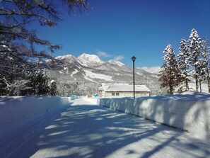 Unclassified image, 4 of 48, button - Lodge Amenouo (Myoko)