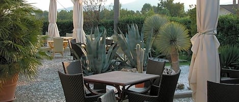Un patio al aire libre con mesas y sillas, rodeado de plantas en macetas y sombrillas.