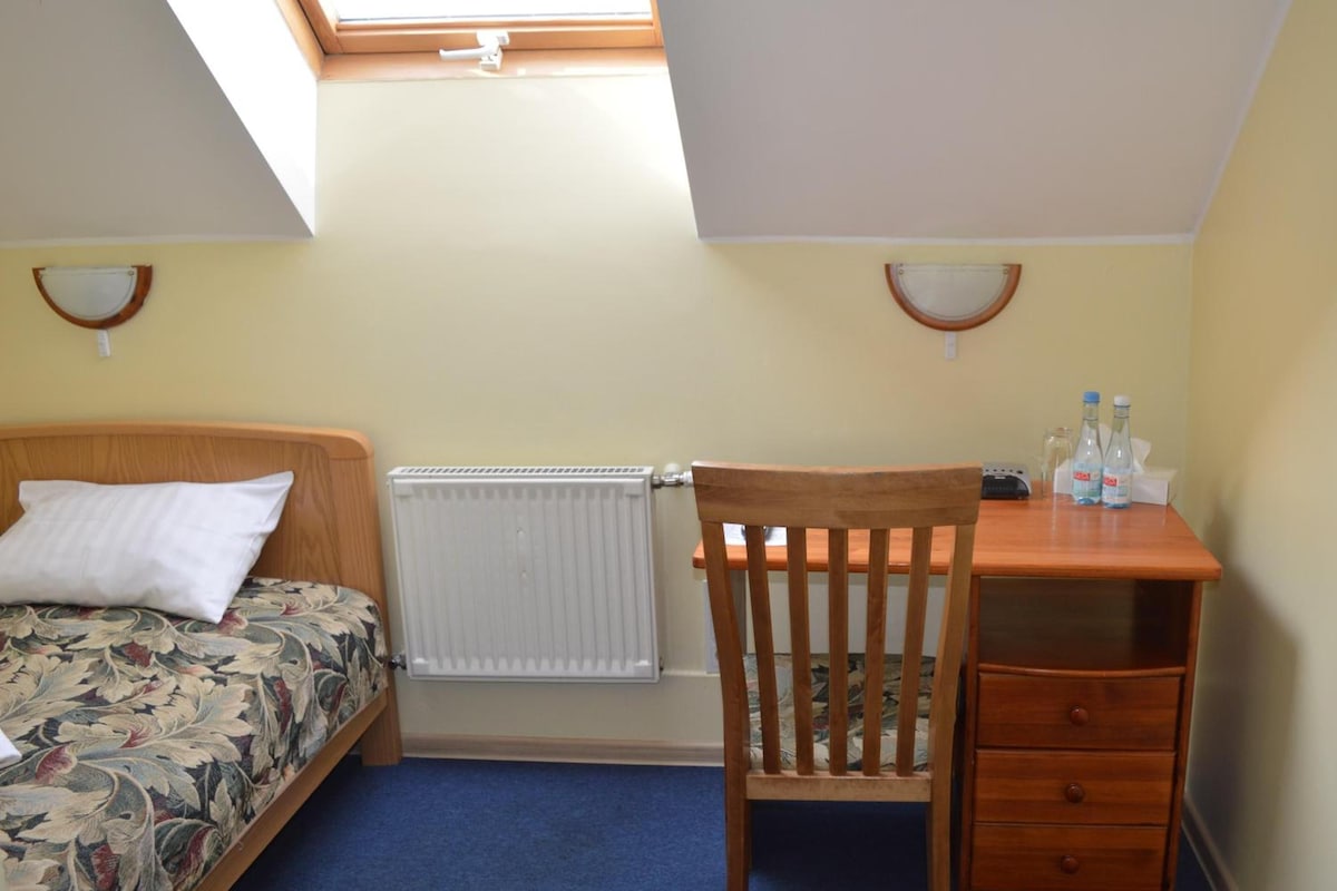 A bedroom with a bed, a desk, a chair, a radiator, and a skylight.
