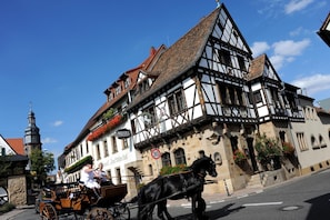 View from property - Weinkastell Zum Weissen Ross (Kallstadt)
