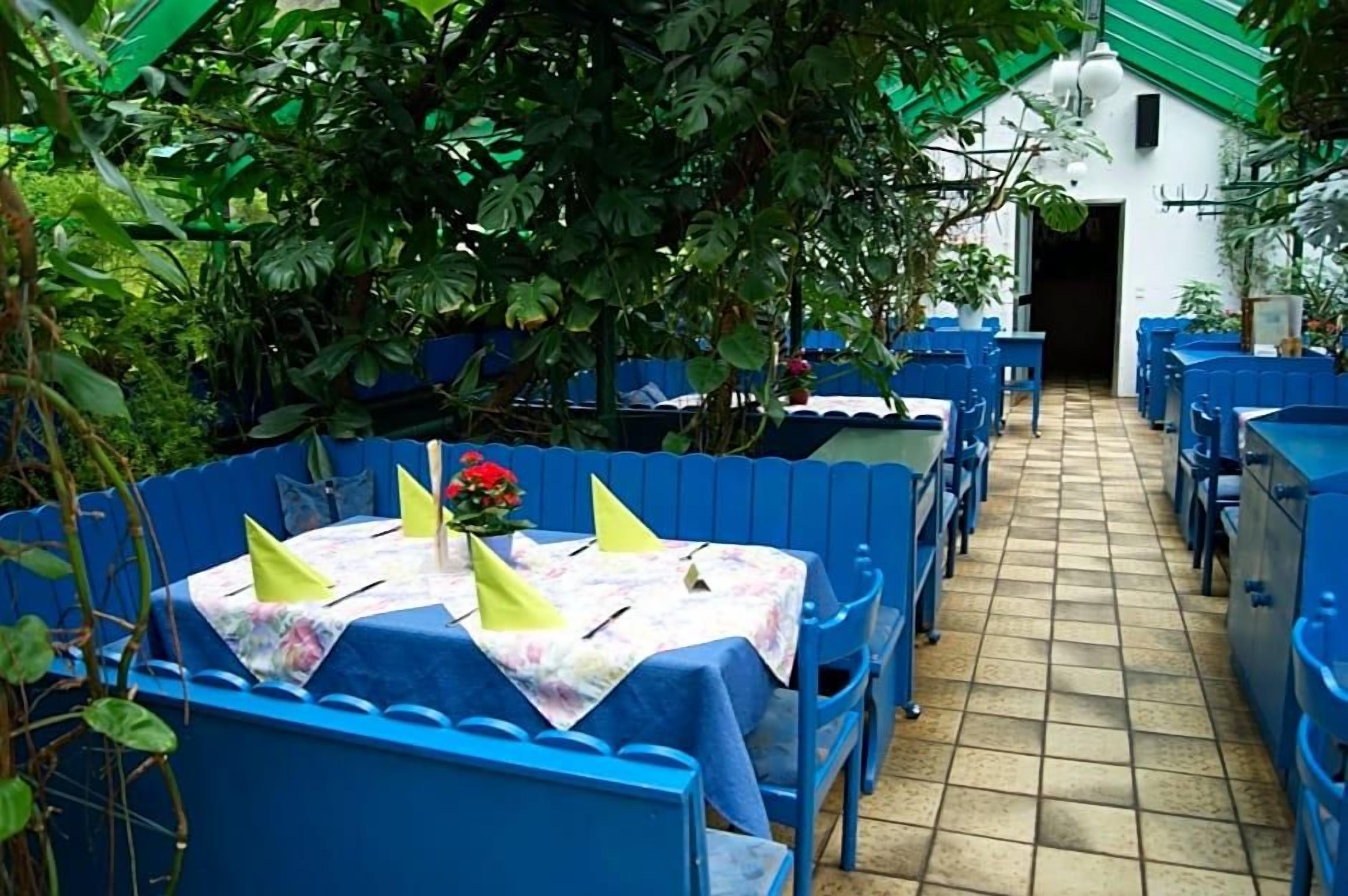 Un espace extérieur aménagé pour les repas, avec des tables et des chaises bleues, entouré de verdure.