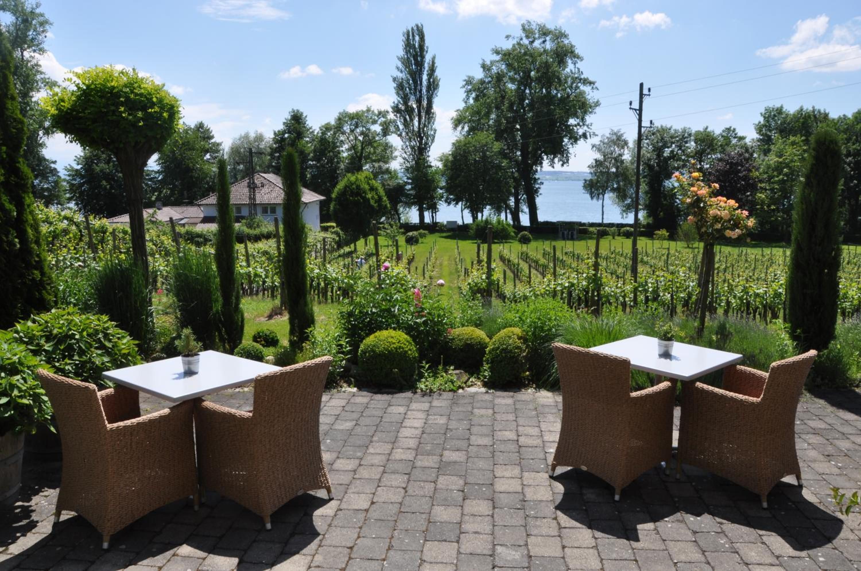 Een terras met twee tafels en rieten stoelen, omgeven door een tuin met verschillende planten en uitzicht op een wijngaard.