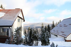 Un área residencial con dos casas, una con tejado de tejas rojas y otra con tejado gris, rodeada de árboles cubiertos de nieve y montañas al fondo.