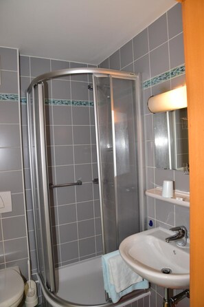 A bathroom with a glass-enclosed shower, a sink, and a toilet. - Florianihof (Miesenbach bei Birkfeld)