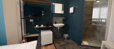 A modern bathroom with a shower, a sink, and a mirror.