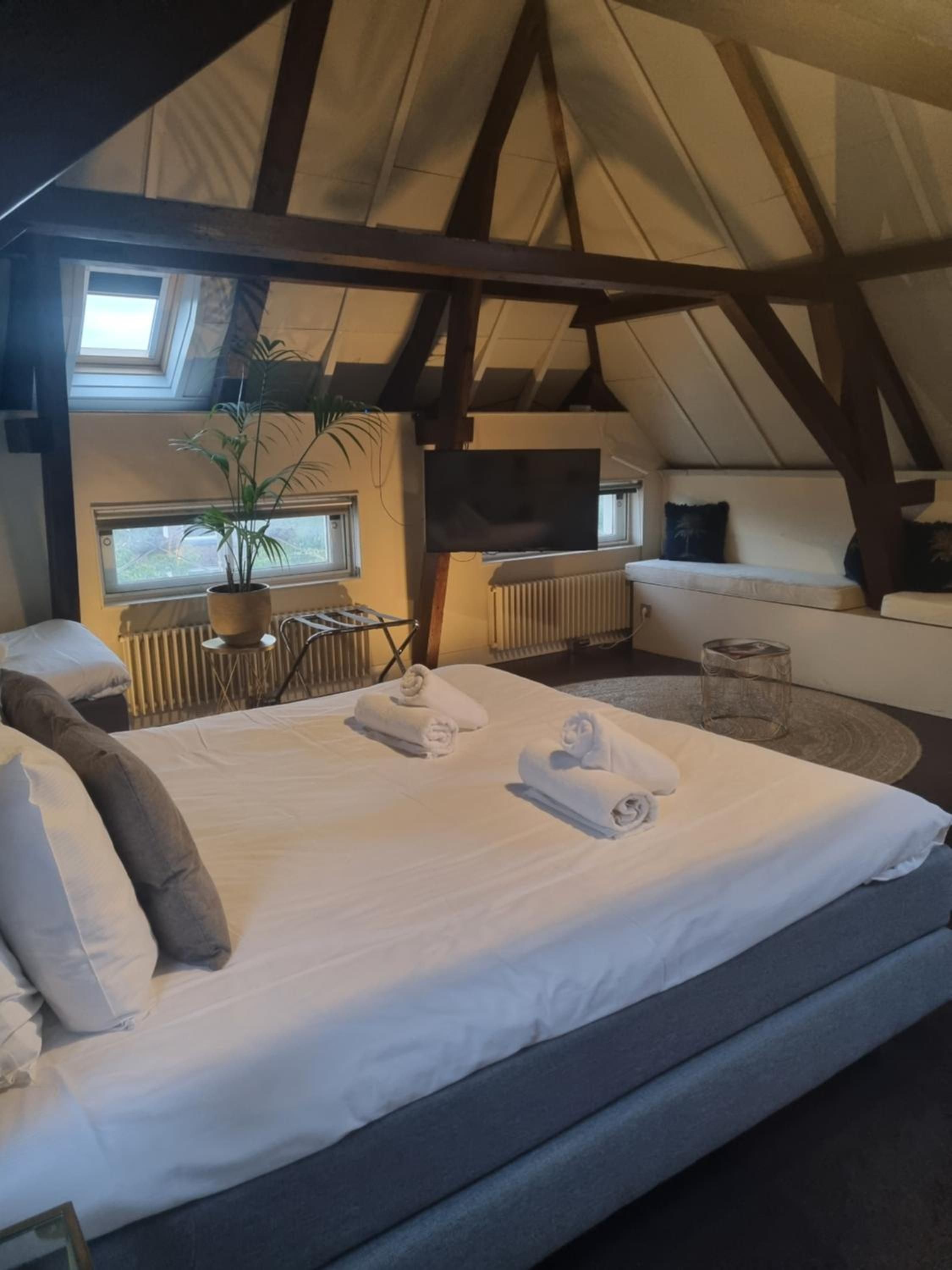 Um quarto tipo tenda aconchegante e bem iluminado, com uma cama, um vaso de planta e um espaço para sentar.