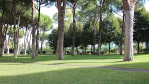 A park with tall trees and a well-maintained grassy area.