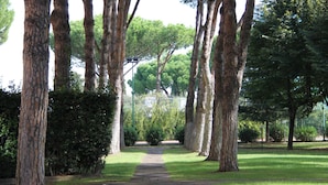 A pathway flanked by tall trees and greenery, leading to a fenced area.