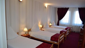 View from property - Hotel Rusu (Petrosani)